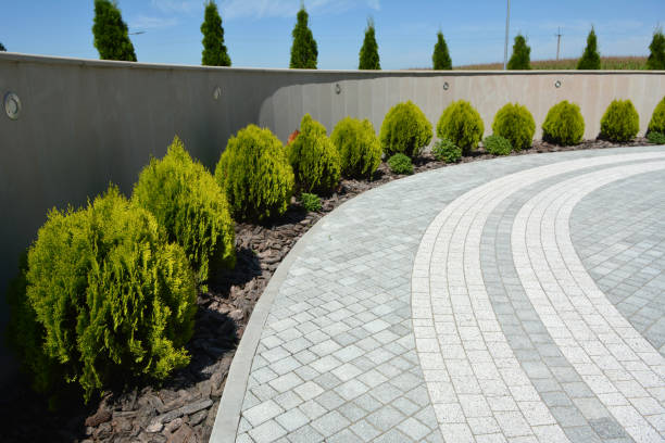 Reasons to Select Us for Your Driveway Paving Requirements in Walnut Grove, CA